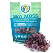 Organic 유기농 바다 이끼 sea moss 박재범 쥬스 재료, Purple