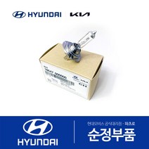 그랜저 HG 순정 D1S 전조등 HID 전구