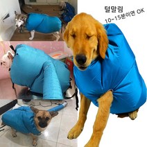 카푸 애견 드라이룸 드라이어 드라이 펫드라이룸, 블루, L