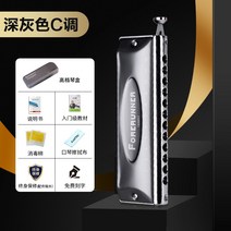12홀 반음계 하모니카 C키학생들은 초급 크로매틱 크로메틱 크로마틱 초보자, C톤