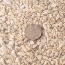 산호사 10∼15mm - (산호 해수어바닥재), A