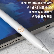 실크펜슬 V3 아이패드 전용 스타일러스 터치펜 최신 배터리 잔량 확인 틸트 팜리젝션 스마트터치펜, 화이트