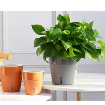 Flowerpot 가든 자동 급수 수위창 화분 13x14cm 도매, A605자동급수화분