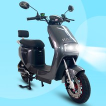 에코드라이브 타이탄스쿠터1000 전동스쿠터 전기 60v 리튬이온 유압브레이크, 그레이 20.8ah