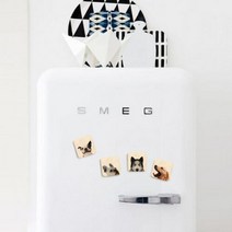 아트박스/모두의팩토리 강아지 냉장고 자석 10종 7cmx7cm, 9.아메리칸불리
