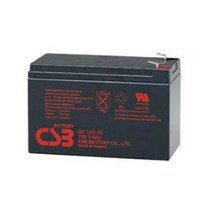 BUyuS배터리 [RBC2] [CSB] APC [배터리1개 OEM UPS 교체 발송]굿딜 브이숍, 상세페이지 참조