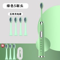 스마트소닉전동칫솔 치아미백 방수 전동칫솔, 그린+USB브러쉬7
