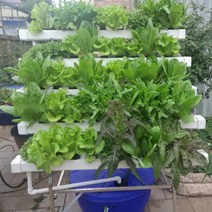 식물 재배기 수경 집에서상추키우기 콩나물 NFT 무토양 재배 장비 홈 발코니 파이프라인 딸기 심기 A-프레임 과일 및 야채 다층 기계, 일방적인 A 프레임, 중간