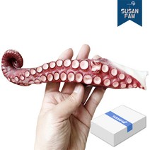 자숙 문어다리 (8kg 9kg) 모리타니아 문어 참문어 수산팜, 9kg, 1개