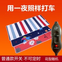 12V 전기장판 DC 캠핑 전기매트 차박 캠핑 카라반 2인용 시가잭, A + 200x80cm