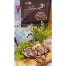 완도전복 9~10미 1k500g 더드림전복 노화 보길도 원조마을전복솔증정 오후2시주문까지 산소포장 산지직송 건강의섬, 1개, 1,5키로