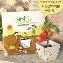 에코팟 자연생태학습용 꾸미기 종이화분 미니 화분 식물키우기, 허브바질, 1개