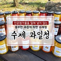 무색소 무첨가 100% 수제청 과일청 자몽청 500g, 28번 약도라지대추배청