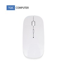 TGICCOMPUTER TGC-WM4100 무선 마우스 화이트 (USB)