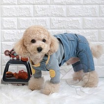 새임 카라 티셔츠 블루 퍼그옷 애완견봄옷 애견옷, M