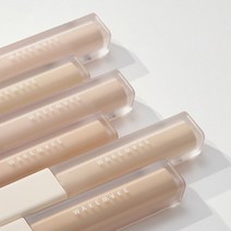 웨이크메이크 디파이닝 커버 컨실러 22AD 6g [단품기획], 10호 페어