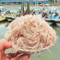소래포구 김장용 생새우 당일조업배송, 생새우 2kg, 1개