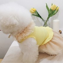 애견용품 애견의류 강아지옷 케이프 데일리 봉봉, Grey:S