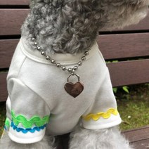 [빅애플]강아지 목걸이 애견 인식표 반려견 이름표[바보사랑], 기본체인／뼈다귀펜던트, 기본체인/뼈다귀펜던트