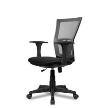 DY-chair 아슬란 요추받침형 메쉬 3종/6컬러 학생의자, 아슬란 블랙바디, 기본, 그레이