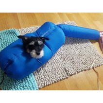 강아지 고양이 털 건조 드라이룸 블루 M 브러쉬 애견