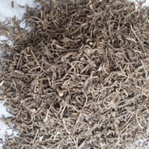 머위건뿌리. 1kg 지리산 다옴
