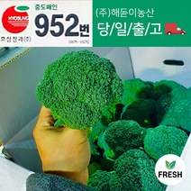 <해돋이농산> 국산 브로콜리 특품 2kg 3kg 5kg 8kg, 5kg(15 ~ 19수)” class=”wr-img”></a></div></p></div></p></div></p></div><div class=
