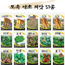 [농사마트] 토속 약초 씨앗 모음 슈퍼 도라지 냉이 고들빼기 곰취 곰보 더덕 두릅 산마늘 취나물 당귀 곤드레 감초 재래종 산나물 종자, 29. 일당귀 3g