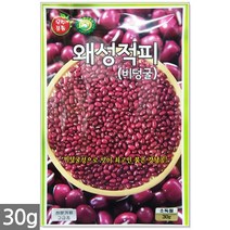 노랑 당근 씨앗 2000립 - 씨 당근씨앗 당근씨 노란색당근 노랑당근씨앗 노란당근 주말농장 텃밭, 16_왜성적피강낭콩(30g)
