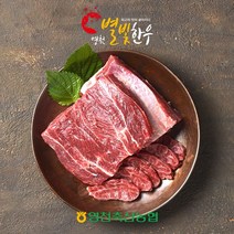 영천별빛촌 [영천축협]영천별빛한우 사태500g / 1등급이상, 1