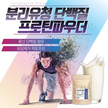 분리유청 락토프리프로틴 류신단백질 500g 근육보충제 프로틴파우더 대두단백 단백질분말, 1통 (보름 분량), 1개