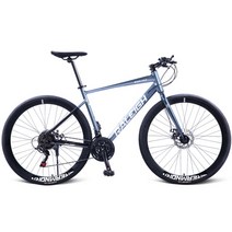 로드자전거 RALEIGH-700C 로드바이크 자갈 자전거 14/16/21 스피드 디스크 브레이크 레이싱 바이크 성인, 05 Grey 21 speed_01 700c