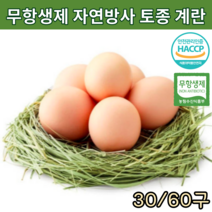 무항생제 난각번호 1번 계란 자연방사 유정란 자연 방목 동물복지 부화용 토종닭 알 토종란 날계란 생계란 신선란 프리미엄 달걀 해썹인증 30구 60구, 토종란 30구*2개