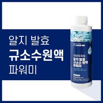 규소수 원액 파워미 알지 발효 아르테파워 수용성 규소, 3개, 200ml