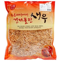 서진네 보리새우 1kg 대경, 1개