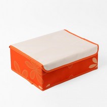 리빙박스 칸칸 속옷정리함 양말정리함(6칸 오렌지)