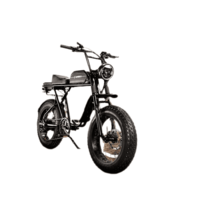 전기 자전거 부릉이 이륜차 배달 바이크 미니벨로 알바, 옵션13, 48V, 25AH