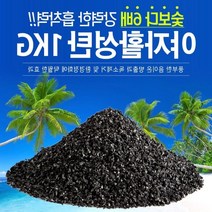 탈취 냄새 제거 제습 야자활성탄 1kg 공기정화 서울상점몰, 단품