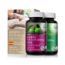 슬림플래닛 올데이 다이어트 가르시니아 + 카테킨 + 잔티젠 세트B, 8세트
