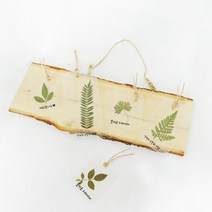 요양원 문센 미술특강 체험아트 북마크 압화 책갈피만들기