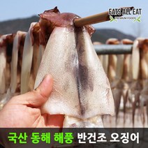 이츠올릿 국내산 속초 반건조 오징어 10미 1kg 손질 마른 건 동해 울릉도 안주, 상세페이지 참조, 상세페이지 참조, 상세페이지 참조