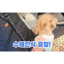 강아지 안전벨트 차량용 반려견 목줄 애견 충격흡수 리드줄, 헤드레스트형, 블랙