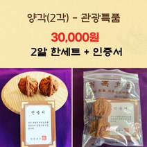 명품 장수 장흥 귀족 호도 2개 1세트 두근두근 펀안한 손지압 손마사지 감성 체험, 1개, 관광특품