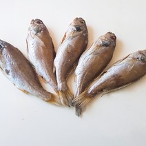 대동호영어조합법인 충남서천 국내자연산 냉풍반건조 백조기, 1팩, 소 15cm ~ 19cm 2마리