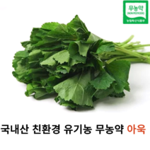 국내산) 친환경 유기농 무농약 신선한 아욱 250g 국산 아욱 이유식 제철 나물 밑반찬 채소의 왕 쌈 아욱국 동양의 채소