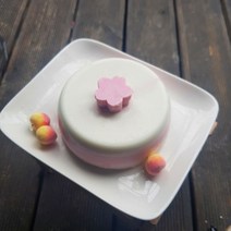 [담무] 강아지 아이스크림 케이크 애견 수제간식, 단품