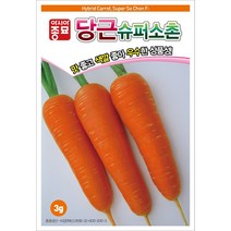 아시아종묘 당근씨앗종자 슈퍼소촌(3g), 1개