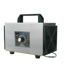 12V 차량용 오존 생성기 자동차 실내 발생기 인테, 10g(자동차모델)