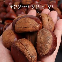 부여 알밤 당도가 높고 고소한 최고의 알밤 23년 햇 홀랑밤(칼집밤 뜨래밤) 알밤 축제 밤 달싱상회, 1kg 특, 1개