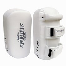 로드fc 미트 훈련용 선수용 무에타이 로드fc 킥연습, B 1쌍